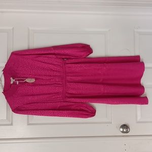 Chenault bright pink dress with puffy long sleeves